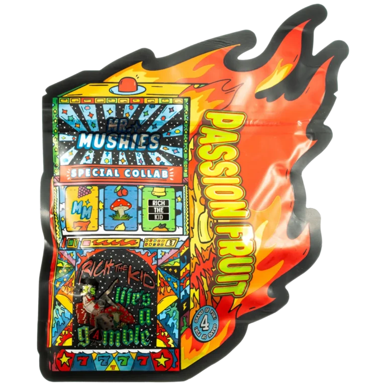 mr mushies chocolate