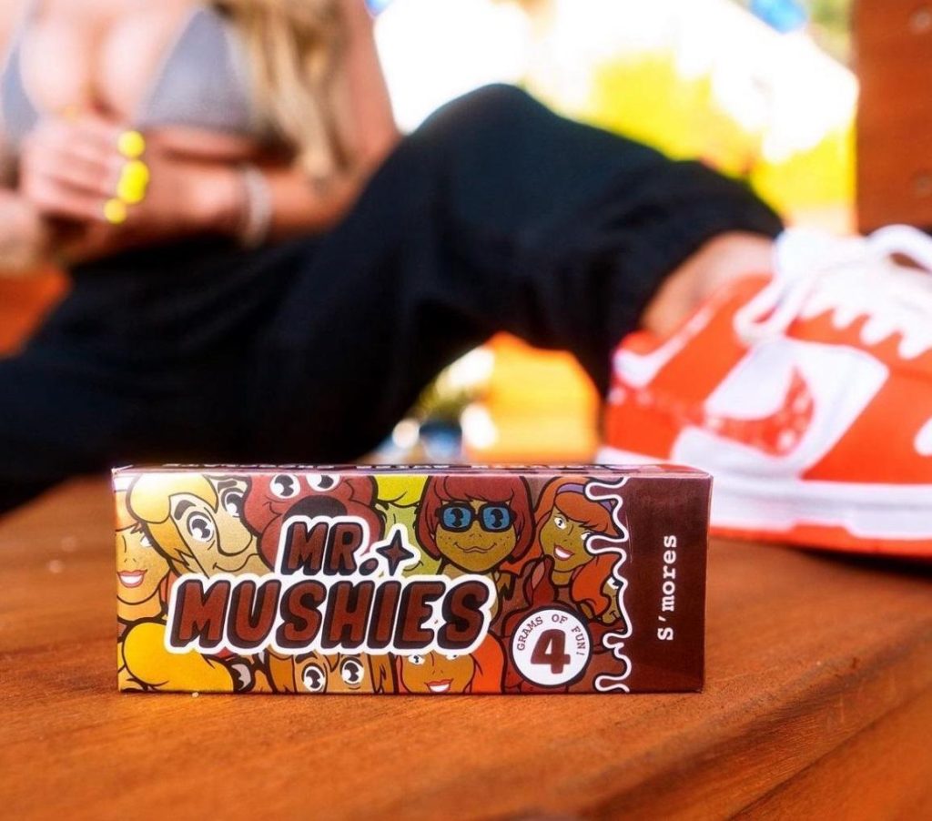 mr mushies chocolate